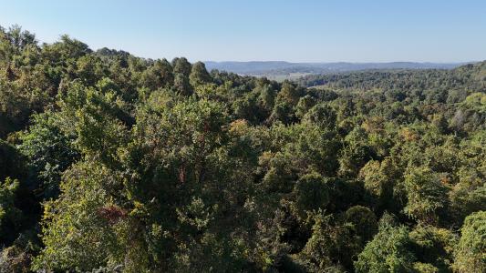 Putney Ridge Road, Salesville, 俄亥俄州 43778, 美國