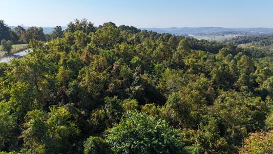 Putney Ridge Road, Salesville, 俄亥俄州 43778, 美國