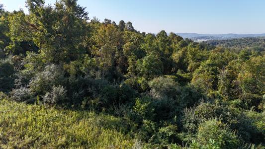 Putney Ridge Road, Salesville, 俄亥俄州 43778, 美國