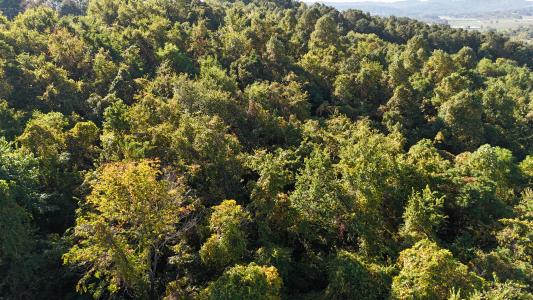 Putney Ridge Road, Salesville, 俄亥俄州 43778, 美國