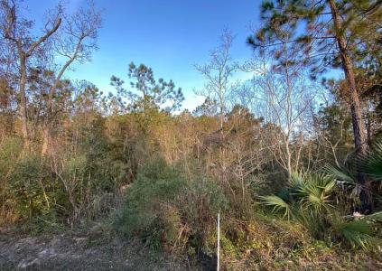 53 Harding St, Waveland, Mississippi 39576, USA