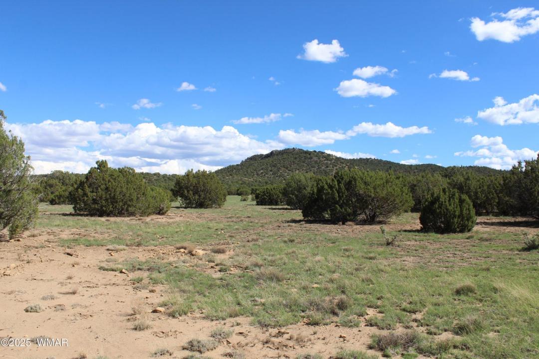 10 County Road 3044, Concho, Arizona 85924, Estados Unidos