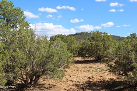 10 County Road 3044, Concho, Arizona 85924, Estados Unidos