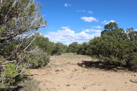 10 County Road 3044, Concho, Arizona 85924, Estados Unidos