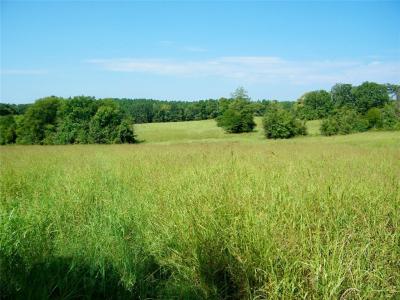 901 Sycamore Bend Loop, Broken Bow, Oklahoma 74728, USA