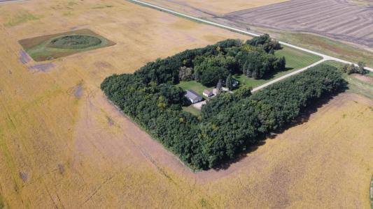 28599 310th Street, Wendell, מינסוטה 56590, ארצות הברית של אמריקה 