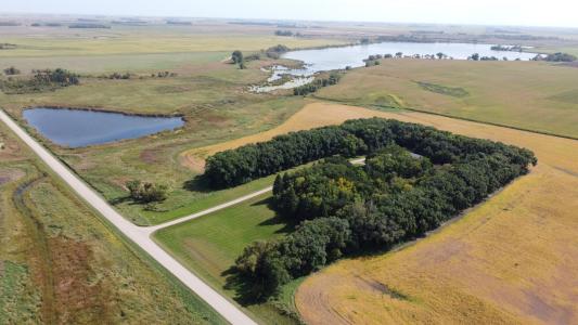 28599 310th Street, Wendell, מינסוטה 56590, ארצות הברית של אמריקה 