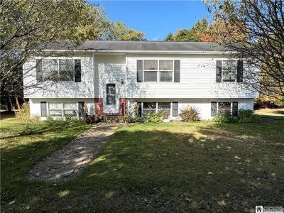 145 Ivory St., Frewsburg, NY 14738, USA