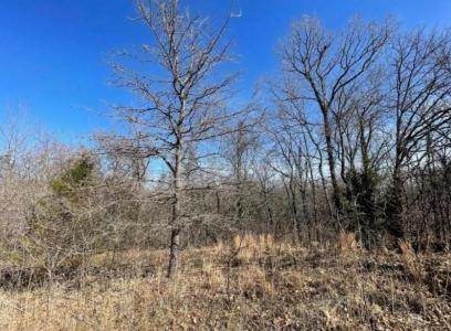 226 Jesse Street, Norman, Оклахома 73071, Соединенные Штаты