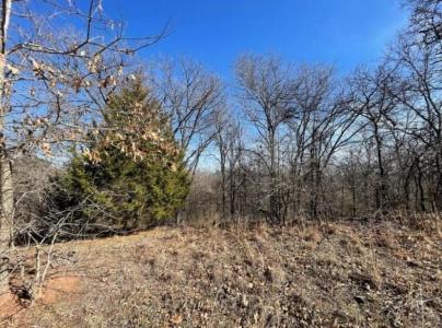 226 Jesse Street, Norman, Оклахома 73071, Соединенные Штаты