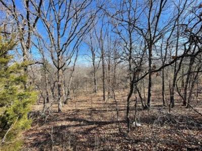 226 Jesse Street, Norman, Оклахома 73071, Соединенные Штаты