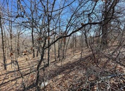 226 Jesse Street, Norman, Оклахома 73071, Соединенные Штаты