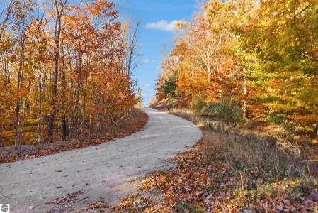 0 Treetops Lane, Frankfort, Мичиган 49635, Соединенные Штаты