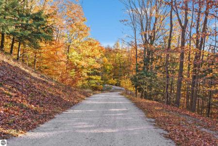 0 Treetops Lane, Frankfort, Мичиган 49635, Соединенные Штаты