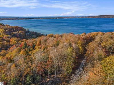 0 Treetops Lane, Frankfort, Мичиган 49635, Соединенные Штаты