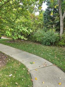 44272 Princeton, Clinton Township, Michigan 48038, Amerika Birleşik Devletleri