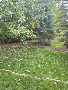 44272 Princeton, Clinton Township, Michigan 48038, Amerika Birleşik Devletleri