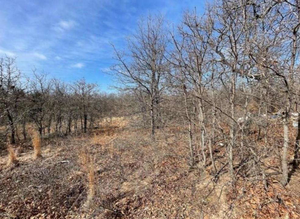 Shumway - Lot 9 Lot 9 Toad Road, Harrah, Oklahoma 73045