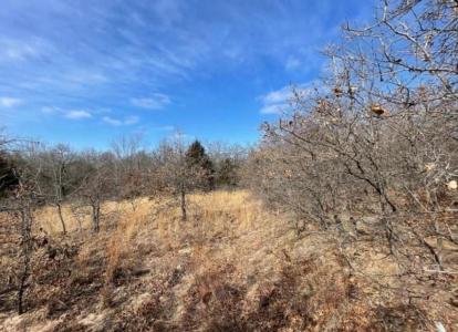 Shumway - Lot 9 Lot 9 Toad Road, Harrah, Oklahoma 73045