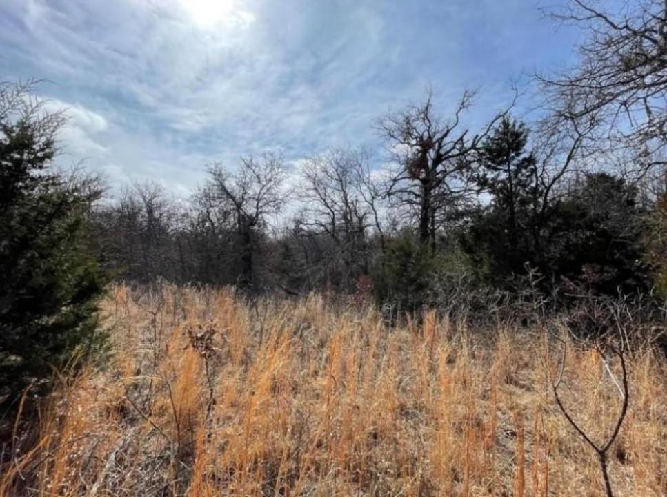 Shumway - Lot 14 Lot 14 Toad Road, Harrah, Oklahoma 73045