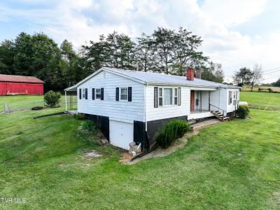 10065 107 Cutoff, Greeneville, 田納西州 37743, 美國