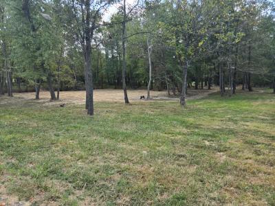 Lot 4 Norman Rd, Marion, Illinois 62959