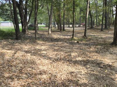 Lot 4 Norman Rd, Marion, Illinois 62959