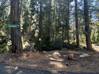 2870 Crestview Circle, La Porte, California 95981, HOA KỲ