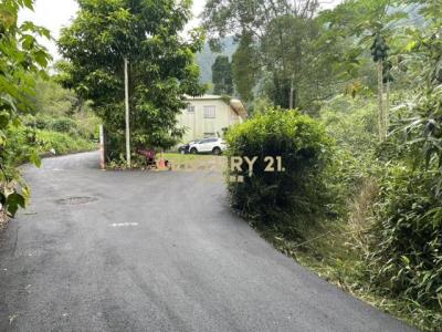 日月段, Yuchi Township, Nantou County 555, 대만