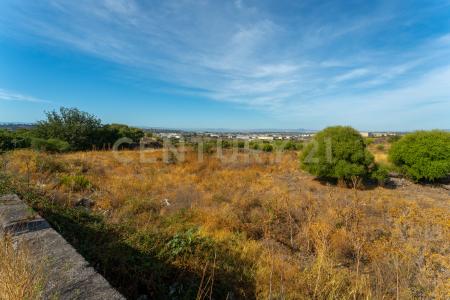 Vicinanze DAIS, Belpasso, Sicilia 95032, Italia