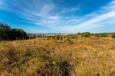 Vicinanze DAIS, Belpasso, Sicilia 95032, Ý