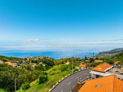 Ribeira Brava, Madeira 9350-104, Portugal