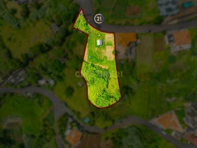 Santana, מדיירה 9230-153, פורטוגל 