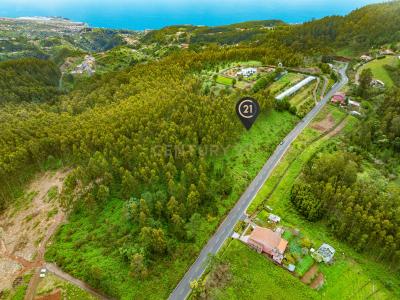 Santa Cruz, Madeira 9100-105, Portugal