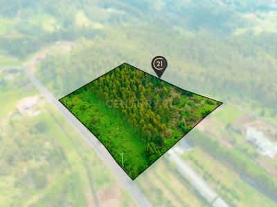 Santa Cruz, Madeira 9100-105, Portugal