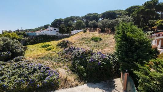 Palmela, Setubal 2950-647, Portugal