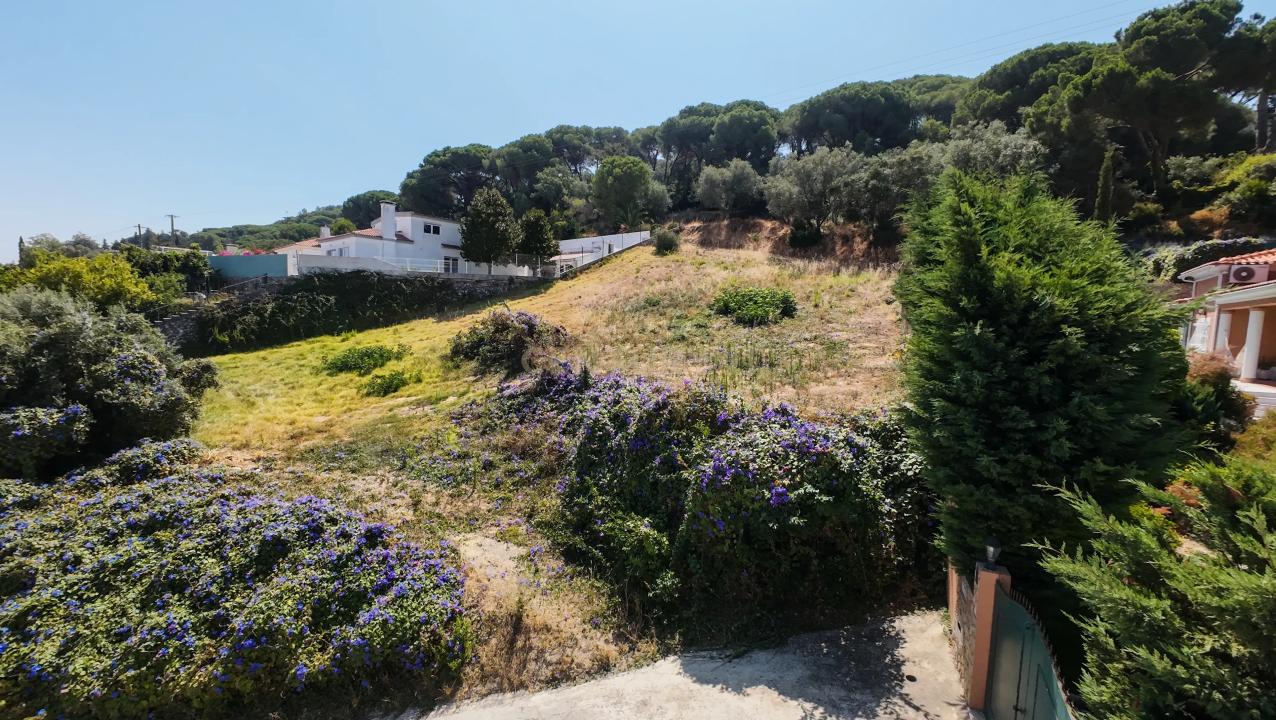 Palmela, Setubal 2950-647, Portugal