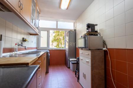 Amadora, Lisbon 2700-251, Portugal