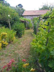 Baião, Porto 4640-213, Portugal