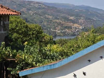 Baião, Porto 4640-213, Portugal