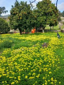 Baião, Porto 4640-213, Portugal