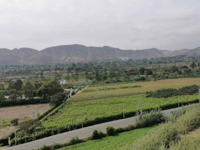 Altavista Condominio de Campo - Buona Vista Village Club Ecuestre Sede Mala , Cañete, Lima 00001, Peru