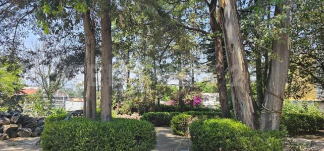 Paseo de la Reforma 2491,, Miguel Hidalgo, Ciudad De México 11930, Mexico