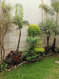 Pallares y Portillo 181,, Coyoacán, Ciudad De México 04331, メキシコ