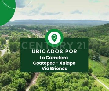 Camino a la Calera SN,, Coatepec, ベラクルス 91500, メキシコ