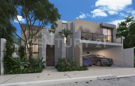 79 Diagonal s/n,, Mérida, Yucatán 97300, Mexico