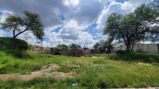 Roma 110,, Aguascalientes, Aguascalientes 20089, Mexico