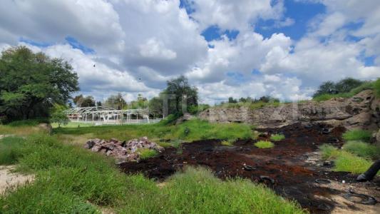 Roma 110,, Aguascalientes, Aguascalientes 20089, Mexico