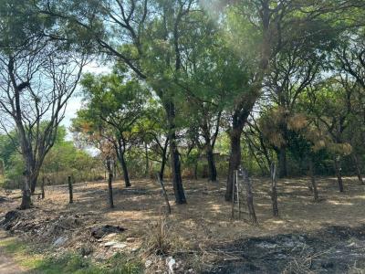 Av. G77. Urbanización Trapero , Norte, Santa Cruz 00001, Bolivia