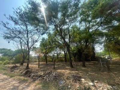 Av. G77. Urbanización Trapero , Norte, Santa Cruz 00001, Bolivia